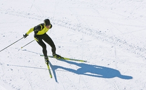 Fischer Skis